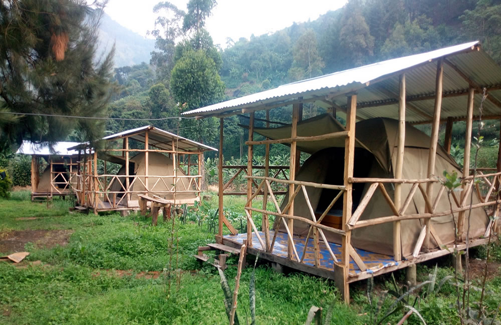 Rwenzori Turaco View Camp